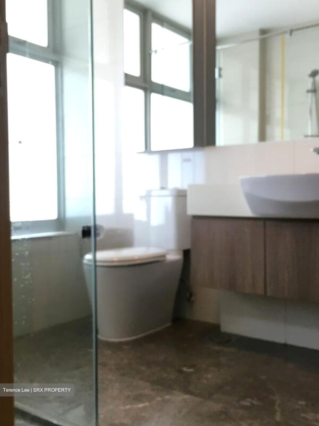 Caspian (D22), Condominium #497416601